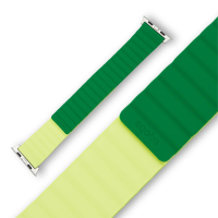 Flip Reversible Band