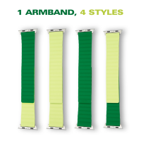 Flip Reversible Band